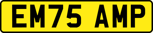 EM75AMP