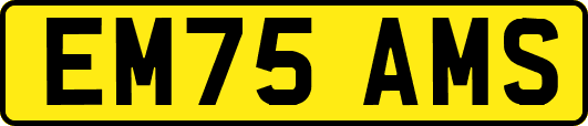 EM75AMS
