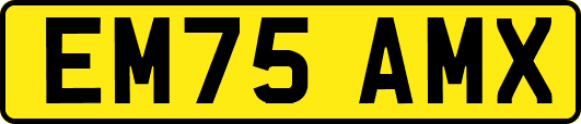 EM75AMX