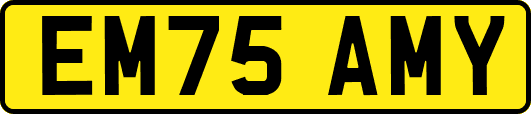 EM75AMY