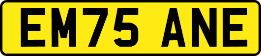 EM75ANE