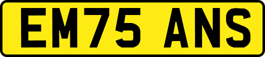 EM75ANS