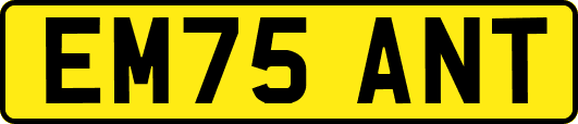 EM75ANT