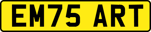 EM75ART