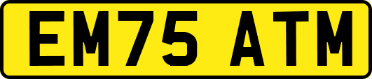 EM75ATM