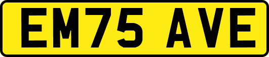 EM75AVE