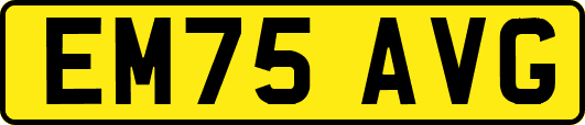 EM75AVG