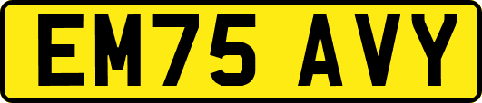 EM75AVY