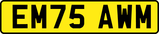 EM75AWM