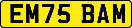 EM75BAM