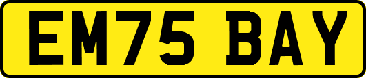 EM75BAY