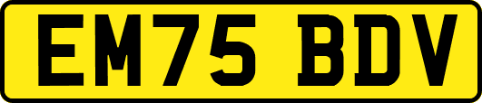 EM75BDV