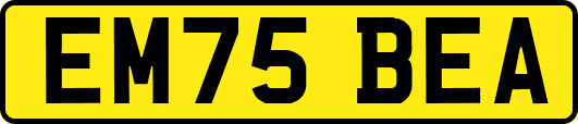 EM75BEA