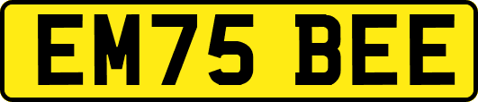 EM75BEE