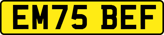 EM75BEF