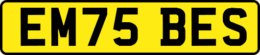 EM75BES
