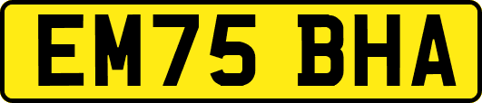 EM75BHA