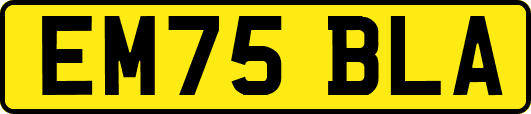 EM75BLA