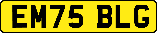 EM75BLG