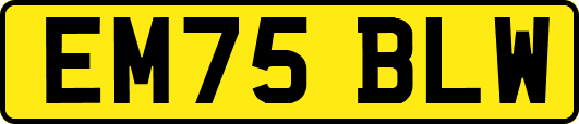 EM75BLW