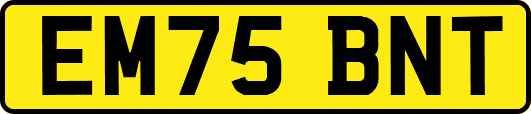 EM75BNT
