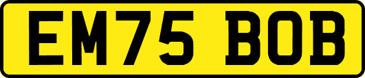 EM75BOB