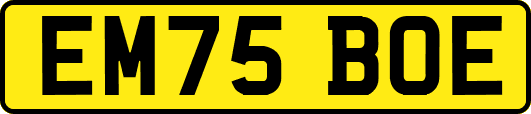 EM75BOE