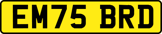 EM75BRD