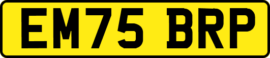 EM75BRP