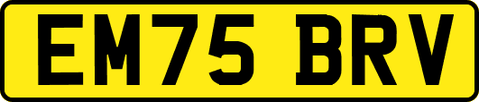 EM75BRV