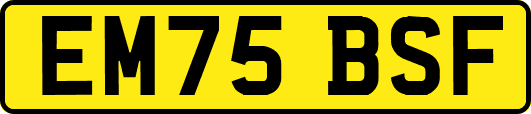 EM75BSF