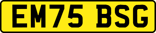 EM75BSG
