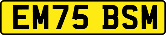EM75BSM