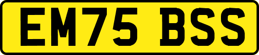 EM75BSS