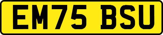 EM75BSU