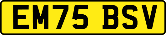 EM75BSV