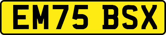 EM75BSX