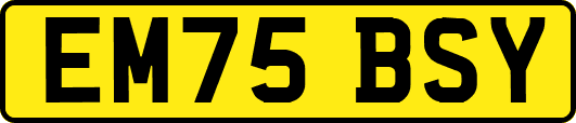 EM75BSY