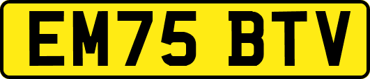 EM75BTV