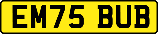 EM75BUB