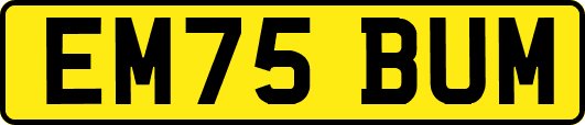 EM75BUM