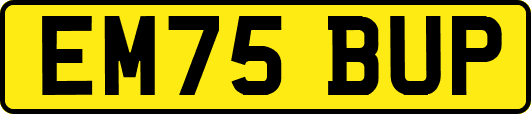 EM75BUP