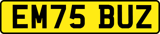 EM75BUZ