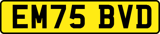 EM75BVD