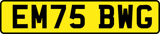 EM75BWG