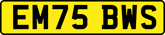 EM75BWS