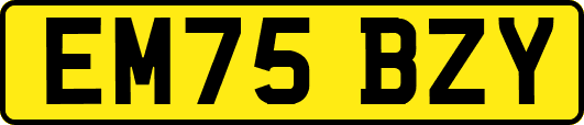 EM75BZY