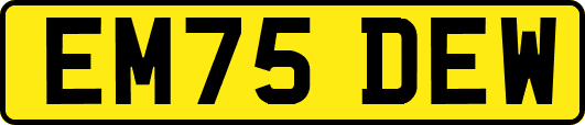 EM75DEW