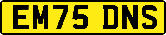 EM75DNS