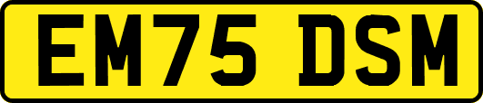 EM75DSM